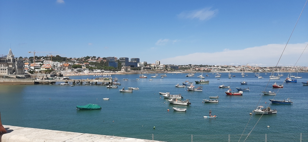 Harbor with boats and city skyline in the background.