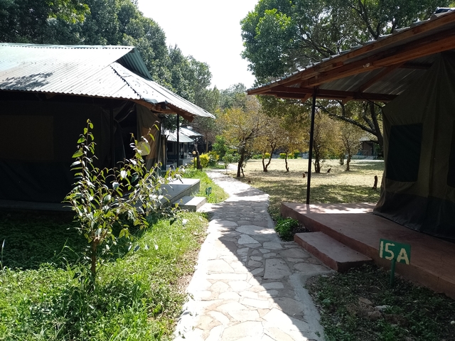 Campground area with tents and pathways.
