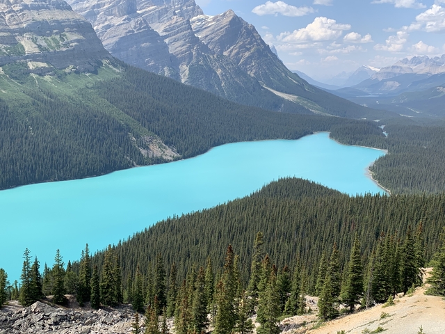       Turquoise river flowing through a heavily forested valley.
  