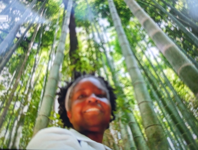       A person in a bamboo forest with a blurred effect.
  