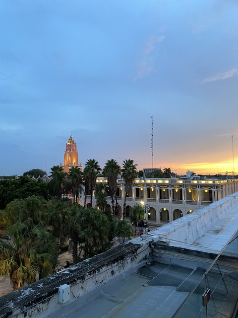       Clock tower and a large building at sunset with palm trees in the foreground.
  
