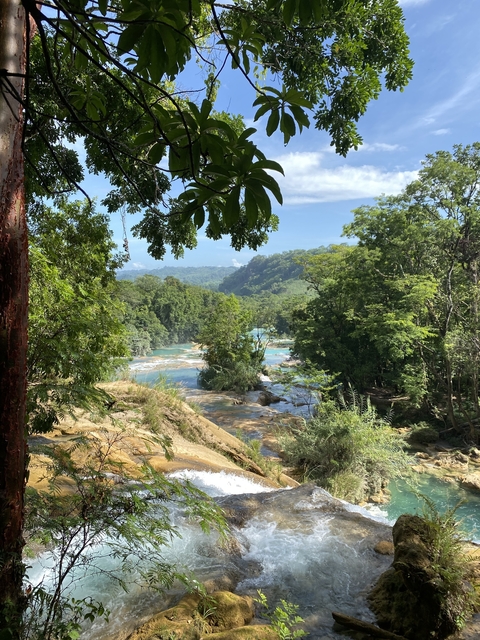 Picturesque waterfall flowing through a dense forest landscape.
