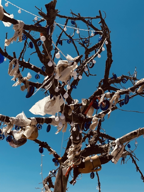       Tree branches decorated with evil eye ornaments.
  