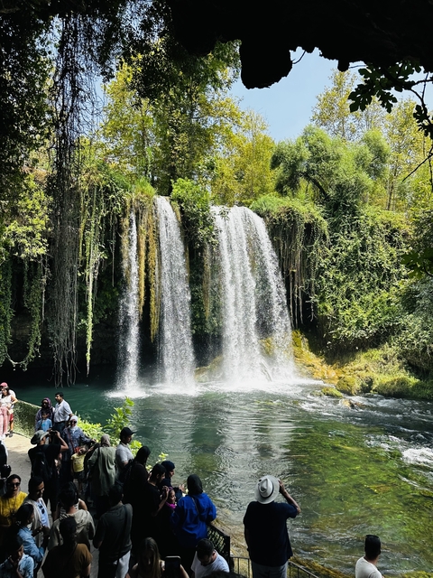       Waterfall cascading into a pond surrounded by greenery.
  
