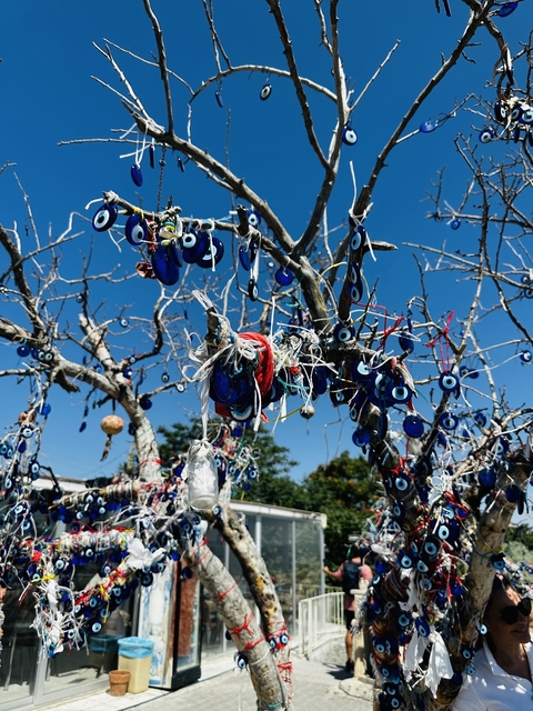 Tree adorned with blue evil eye charms.