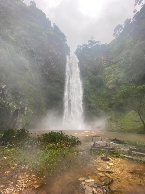 A waterfall surrounded by lush greenery.