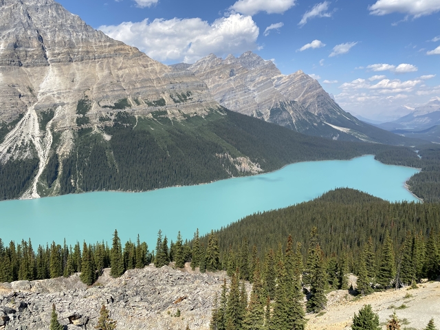       A large turquoise lake surrounded by forested mountains.
  