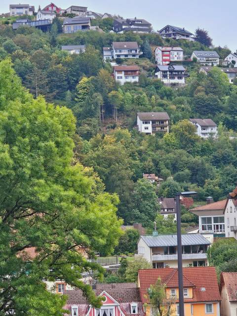 Houses on a hill with trees and foliage.