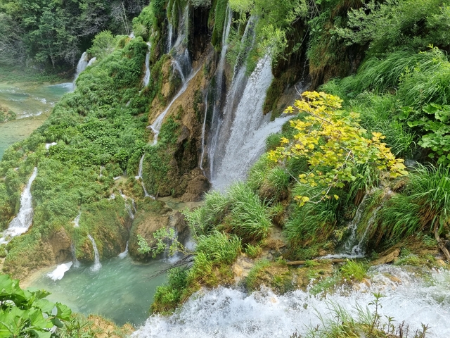 Waterfalls flowing over rocks covered in greenery.
