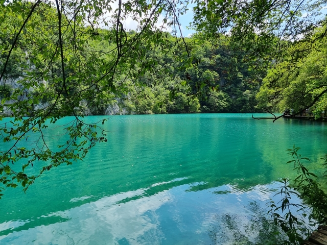 Vibrant turquoise lake surrounded by lush green forest.
