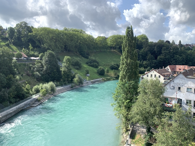      A river flowing through a green landscape with trees.
  