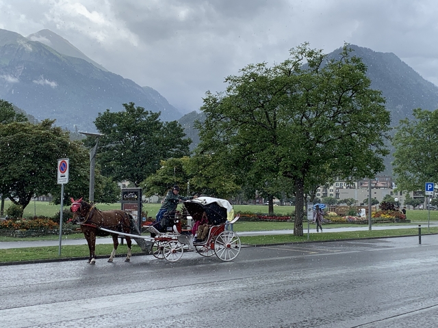       A horse-drawn carriage on a street with mountains in the background.
  