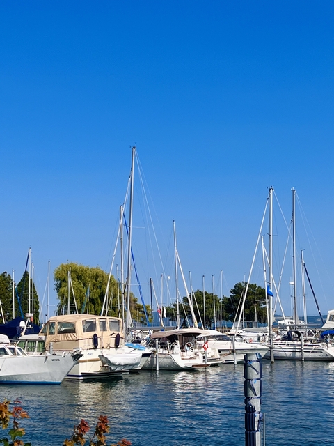 Sailboats docked in a marina with a clear blue sky.
