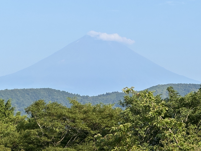       View of Mount Fuji with lush greenery in the foreground.
  