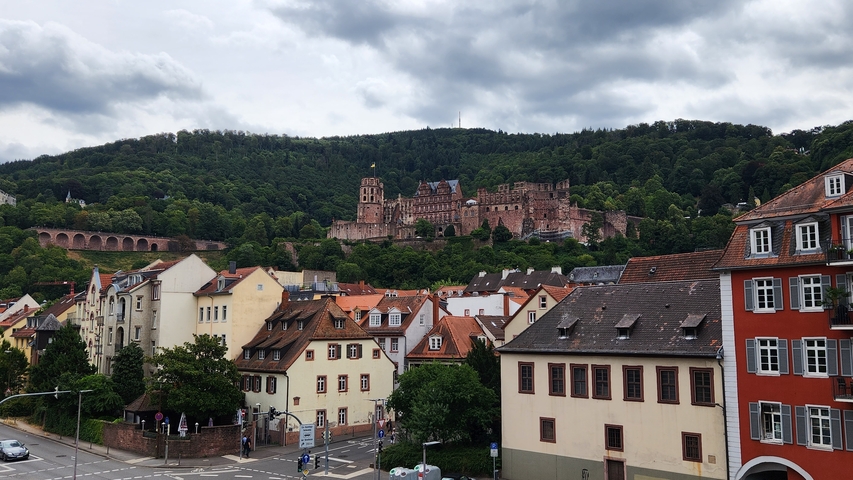       A castle on a hill overlooking a town.
  