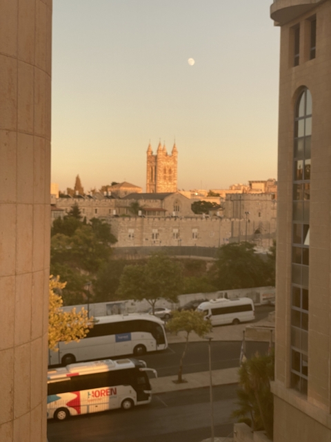       A silhouette of a large cathedral seen between two buildings.
  