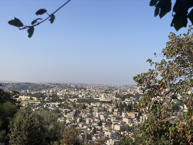       Panoramic view of a cityscape from a high vantage point.
  