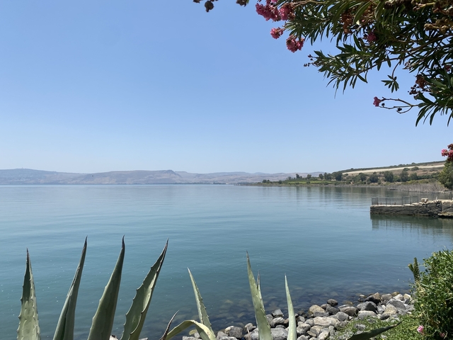       A serene lakeside view with clear blue sky and distant hills.
  