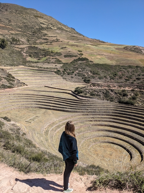       Woman overlooking terraced fields.
  