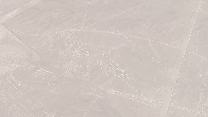       Aerial view of a Nazca line geoglyph in the shape of a bird.
  