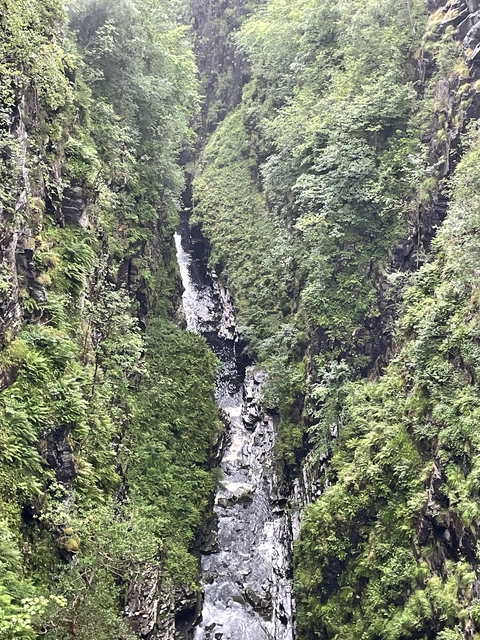 Aerial view of a narrow gorge with dense green foliage.