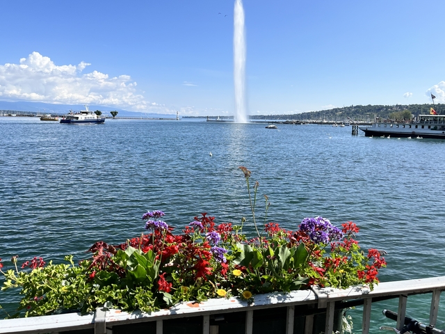       Flowerbed in front of a lake with a fountain and boats.
  