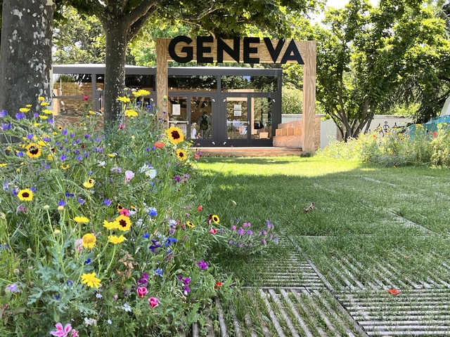       Garden with wildflowers and a sign for Geneva in the background.
  
