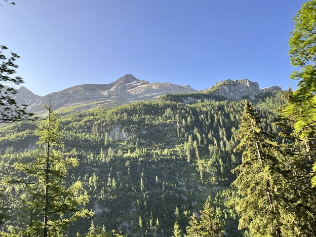       Mountain with forest, basking in sunlight.
  