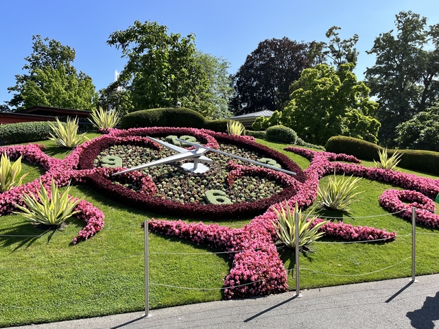       Floral clock in a park setting.
  