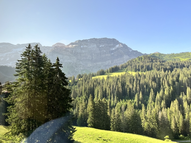       Forest and mountains during daytime.
  