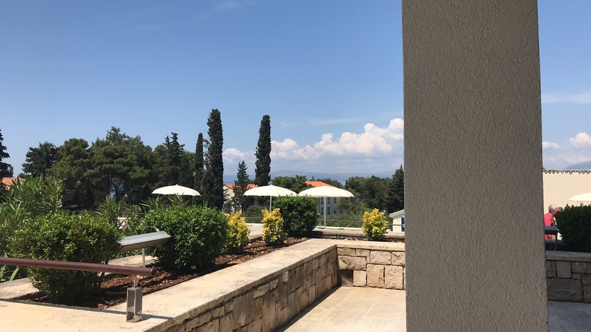 Patio view with greenery and distant mountains.