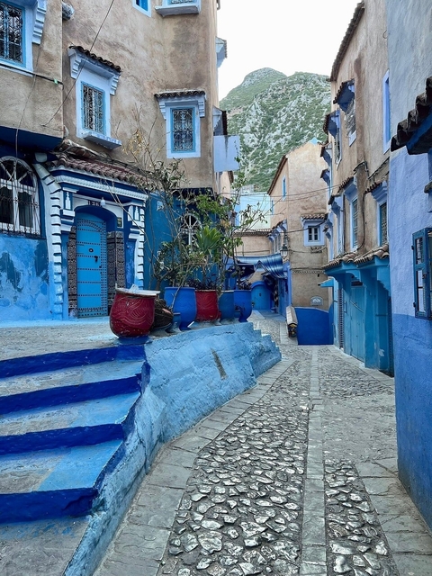       Blue-painted houses lining a narrow cobblestone street.
  