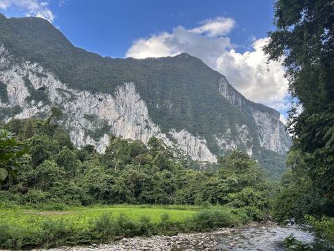       Majestic mountain landscape with forests below.
  