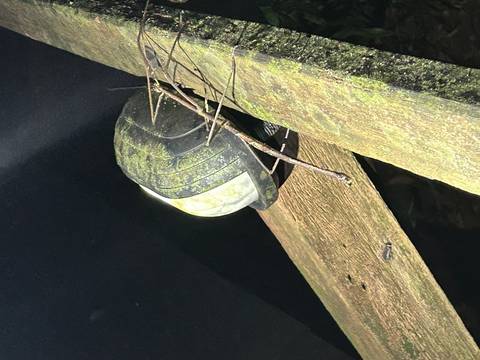       Light fixture under a wooden structure.
  
