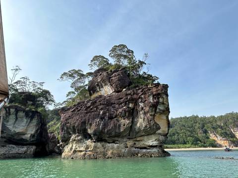       Large rock formation surrounded by greenery.
  