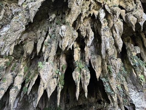       Rock formations with prominent stalactites and greenery.
  