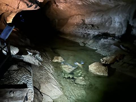       Dark cave with water and illumination.
  