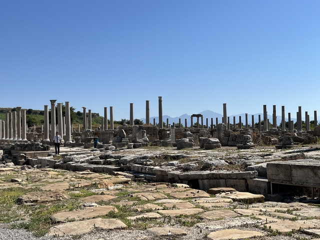       Ancient ruins with columns and mountain backdrop.
  