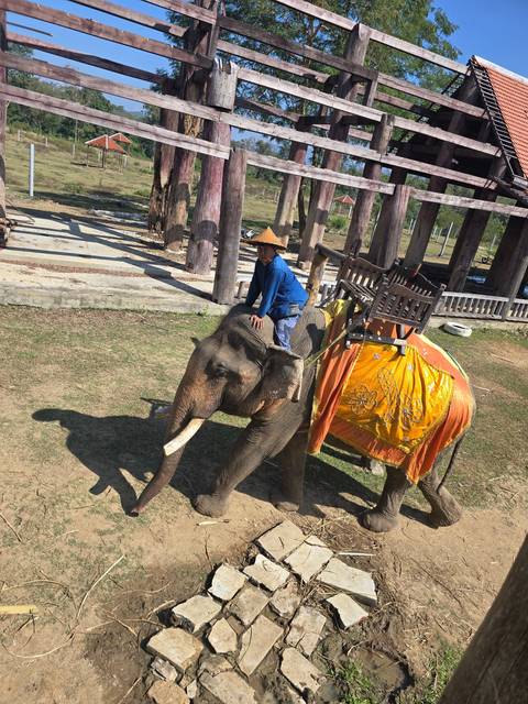 People riding an elephant with a traditional wooden structure on its back.
