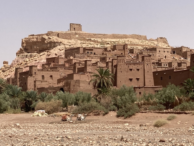       Fortified village on a hill with palm trees.
  