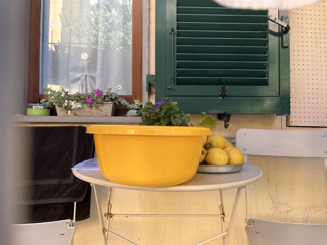       Yellow bowl with lemons on a table in a quaint setting.
  