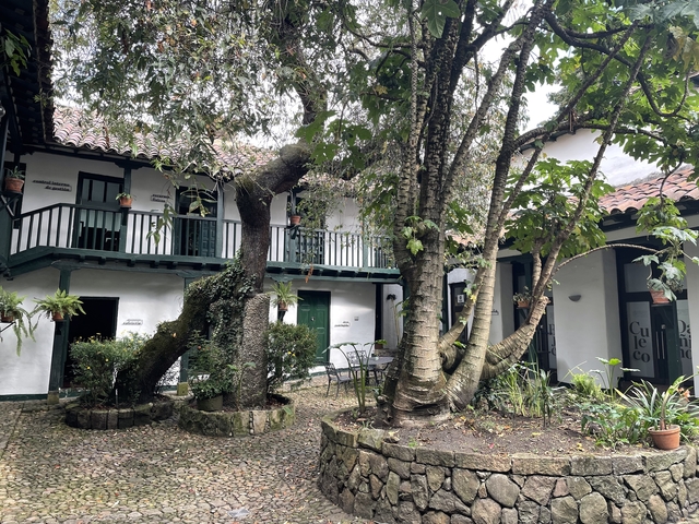       Courtyard with trees and plants
  