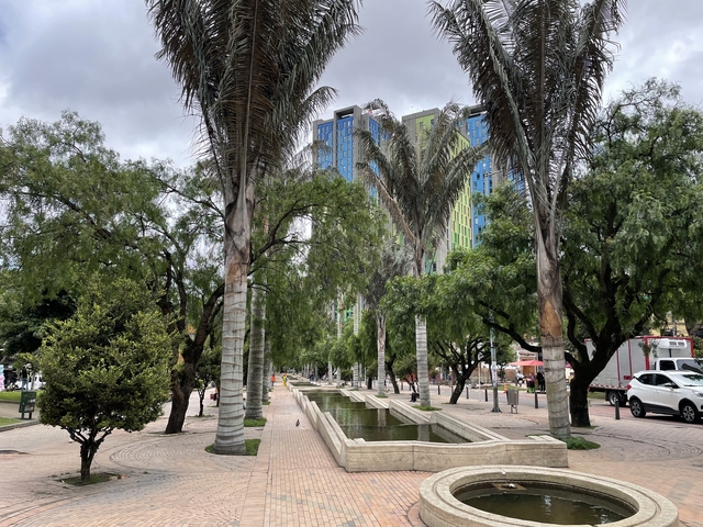       Park with palm trees and pools
  