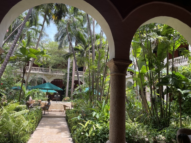       Tropical garden with palm trees
  