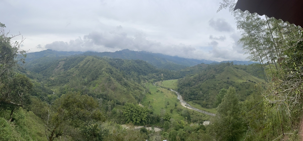       Lush green valley with mountains in the distance
  