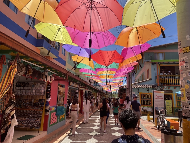       Colorful street with umbrellas overhead
  