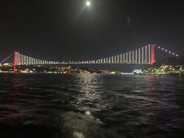       Illuminated bridge over the Bosphorus at night.
  