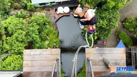       Bungee jump view from above showing a pond and vegetation.
  