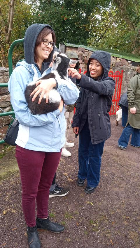       People petting a goat in a park.
  