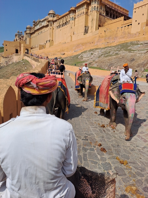       People riding decorated elephants on a stone pathway
  